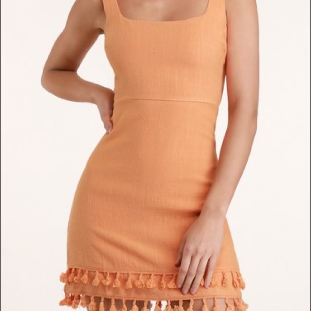 Lulus tassel mini dress
